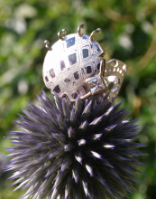 Ring-Natur-Haeckel_Cyrtoidea.jpg