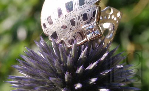 Ring-Natur-Haeckel_Cyrtoidea.jpg